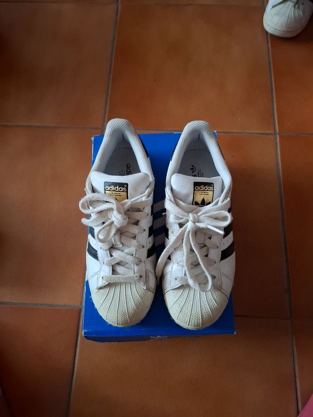 Adidas superestar