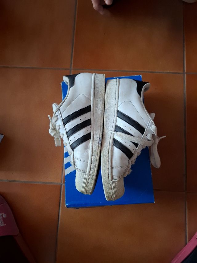 Adidas superestar