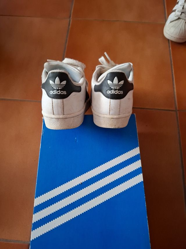 Adidas superestar