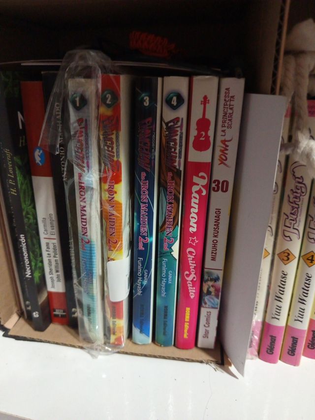 Collezione manga Evangelion