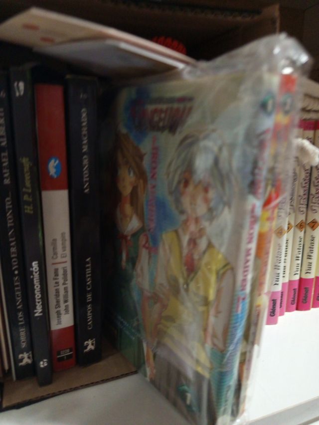 Collezione manga Evangelion