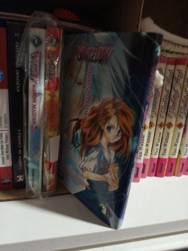 Collezione manga Evangelion