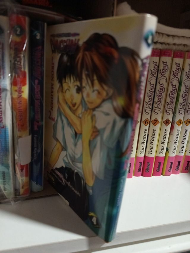 Collezione manga Evangelion