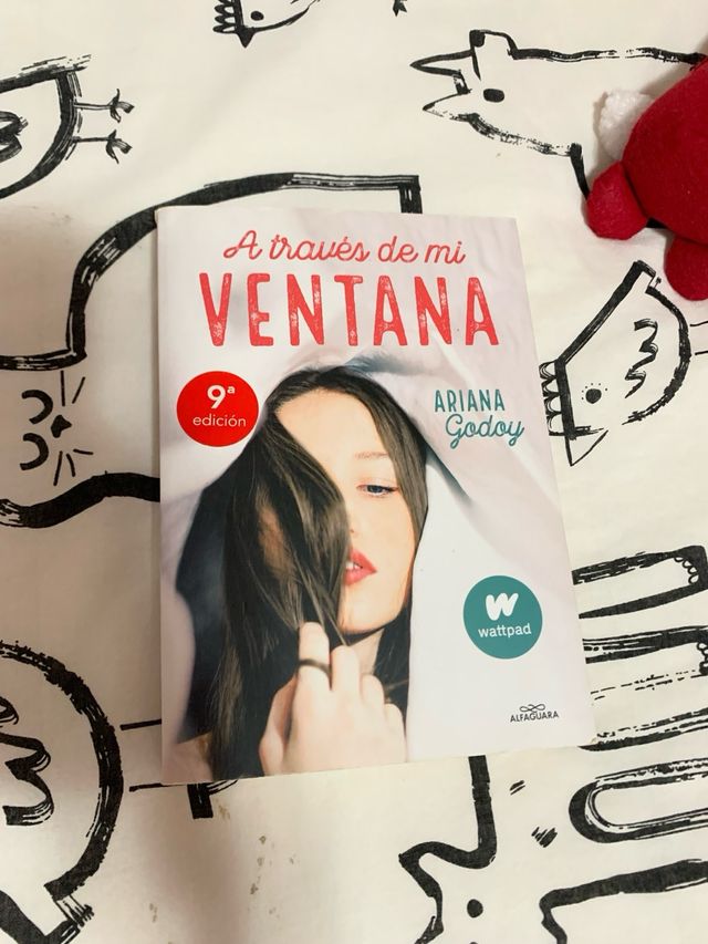 Libro a traves de mi ventana