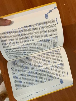 Diccionario moderno de alemán