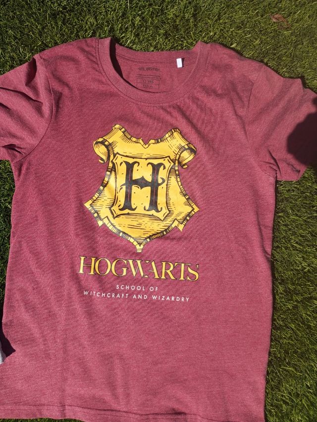 Conjunto deportivo Harry Potter