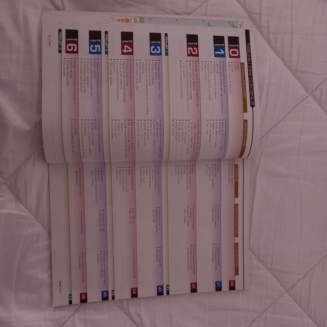 Libro de francés A1