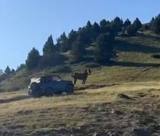 Mitsubishi Montero 1993