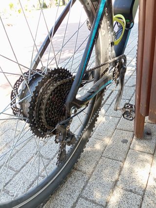 Bici de 29 pulgadas monoplato 11 piñones corona 34