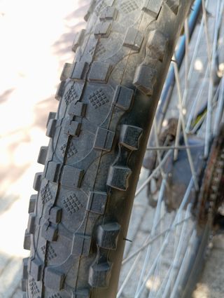 Bici de 29 pulgadas monoplato 11 piñones corona 34