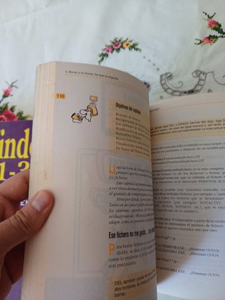 Manuales informáticos antiguos