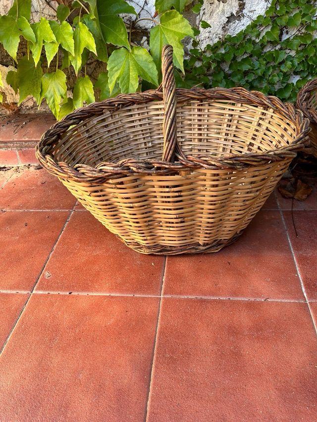 Cestini di metallo per raccogliere i funghi