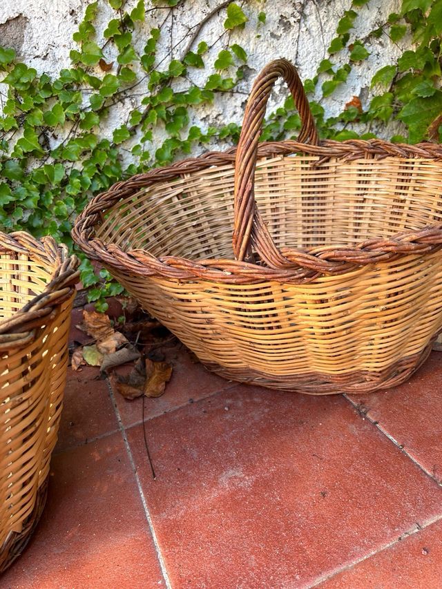 Cestini di metallo per raccogliere i funghi