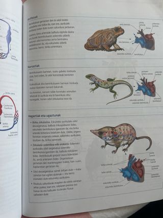 Libro Biologia y Geologia