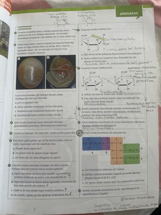 Libro Biologia y Geologia