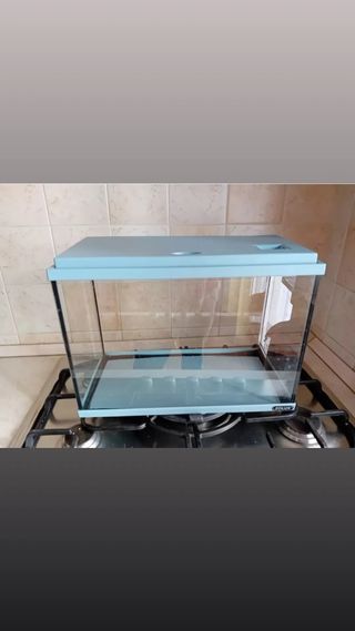 Acquario Elay Zolux 21lt