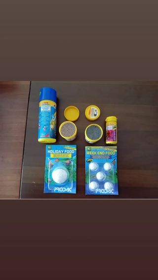 Acquario Elay Zolux 21lt