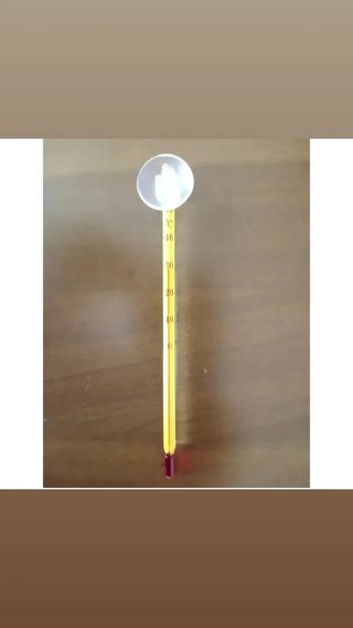 Acquario Elay Zolux 21lt