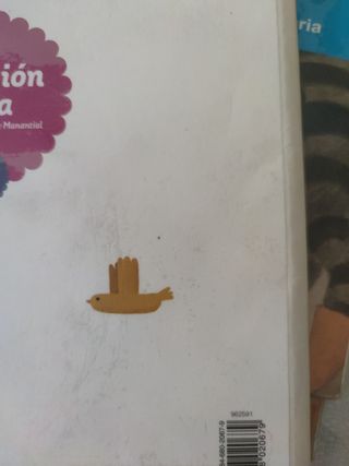 Religión 4 primaria 