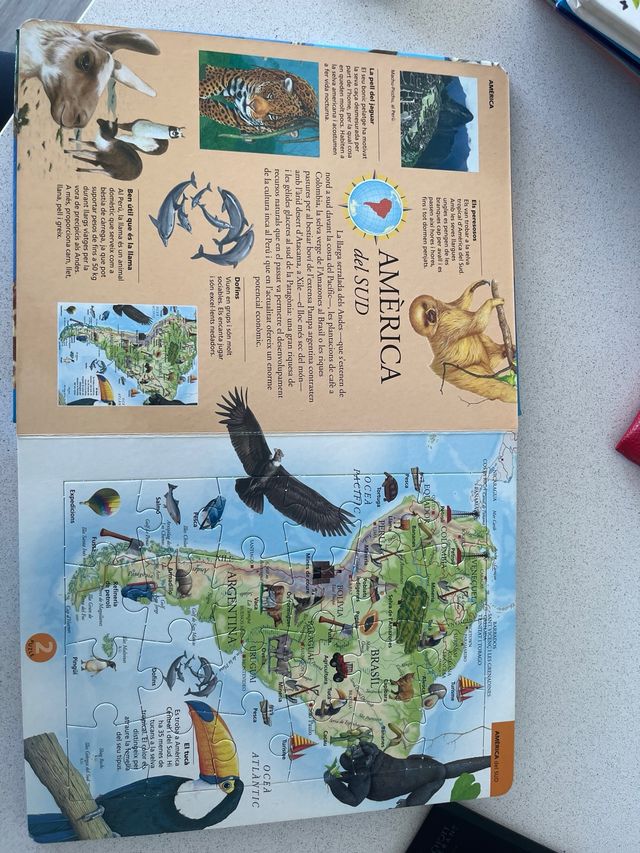 Atles puzles dels animals