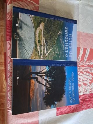 Viejos caminos de Castilla y León