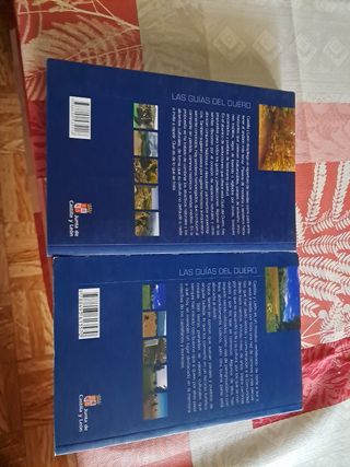 Viejos caminos de Castilla y León