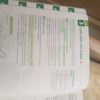 Libro Biology and Geology 1° ESO