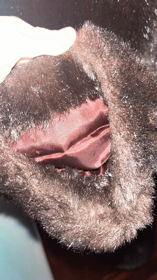 Abrigo michael alexis