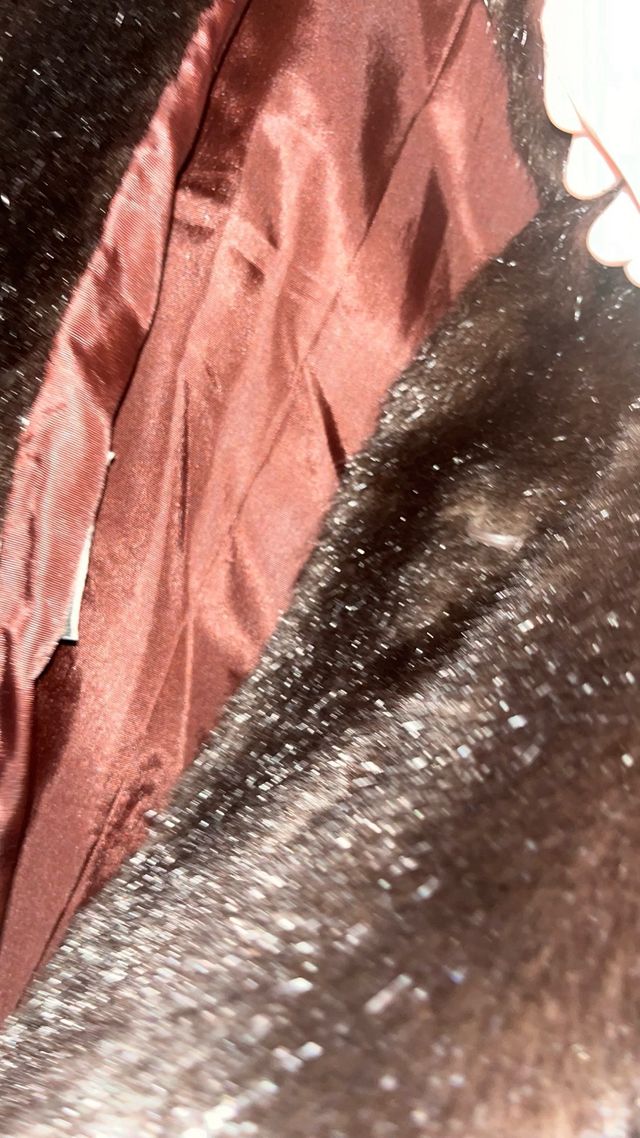 Abrigo michael alexis