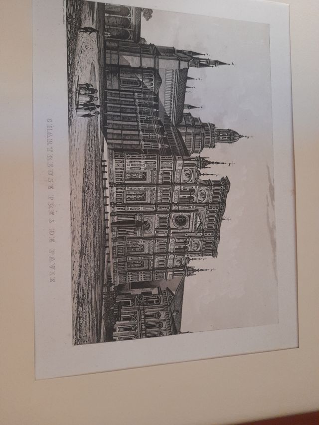 STAMPA ORIGINALE della certosa di Pavia