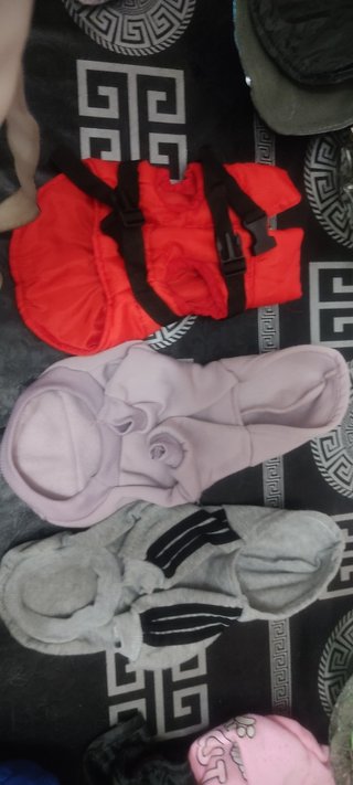 Trajes de perritos pequeños