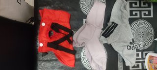 Trajes de perritos pequeños