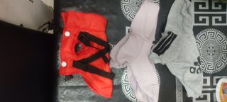 Trajes de perritos pequeños