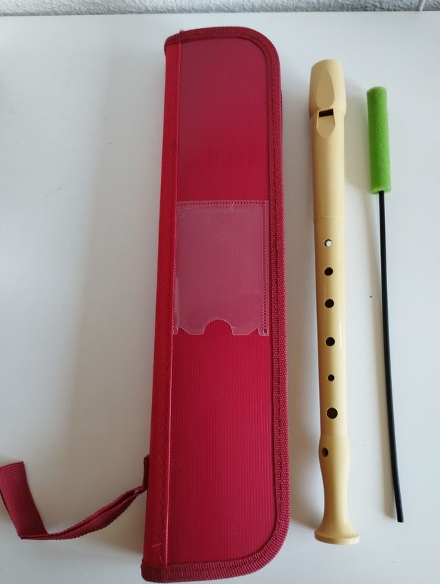 Flauta, limpiador y funda