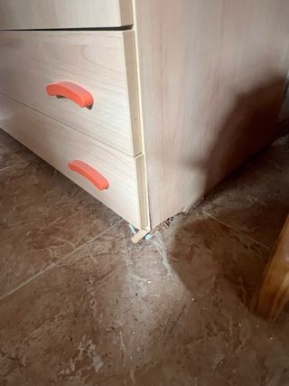 Dormitorio juvenil