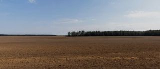 Terreno rustico,finca,en venta