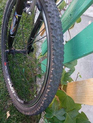 Bicicleta de montaña