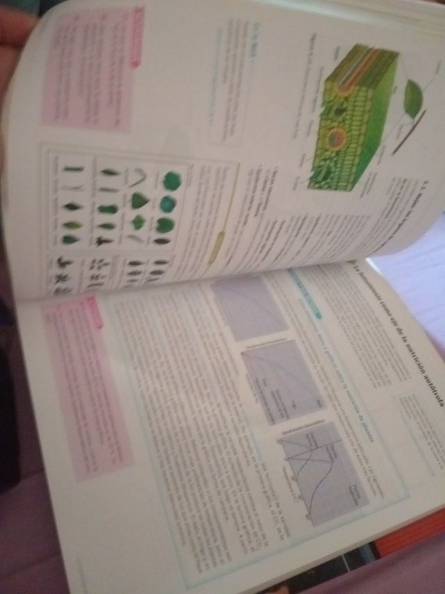 Libro Biología y Geología Savia 1°bach