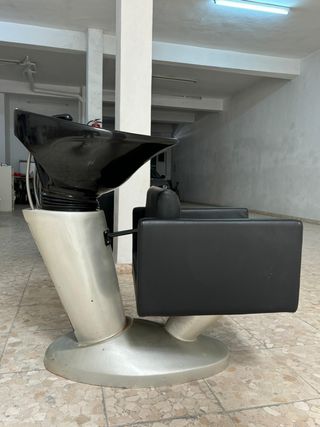 Lavacabezas profesional 