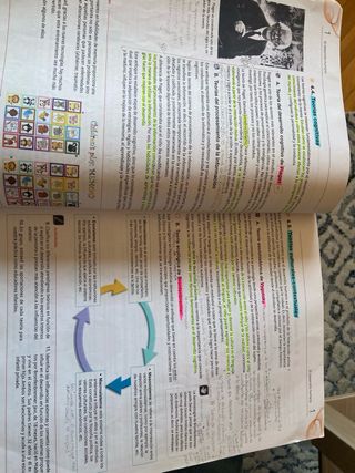 Libro Desarrollo Cognitivo y Motor