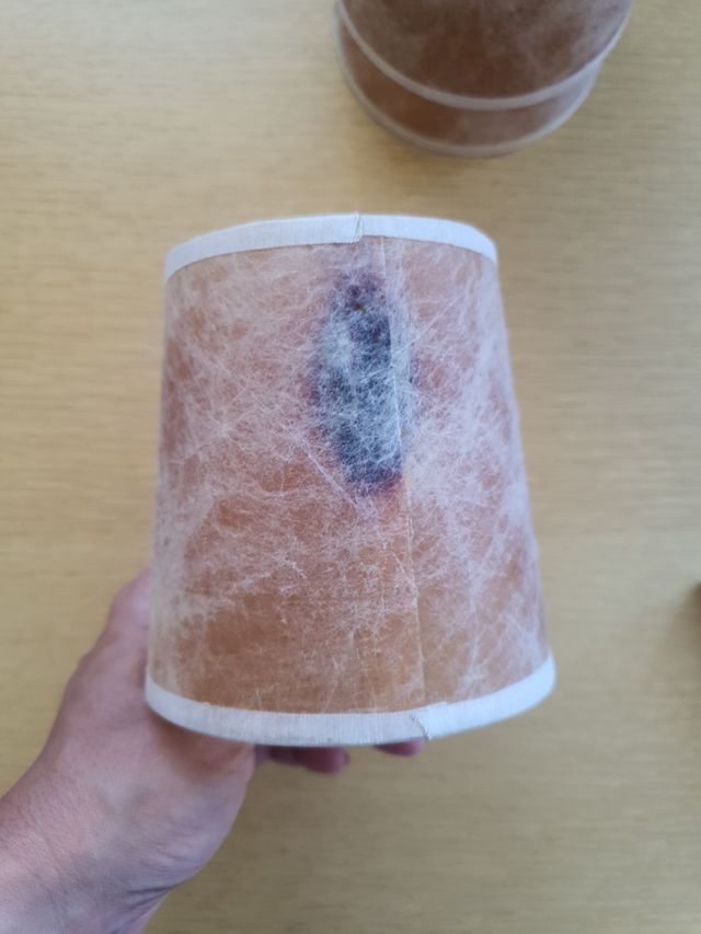 Pantallas o Tulipas lámpara antigua araña