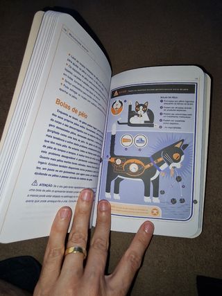 Gato livro de instruções