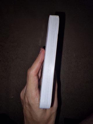 Gato livro de instruções