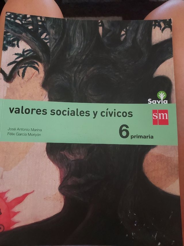 Libro valores sociales y cívicos 6