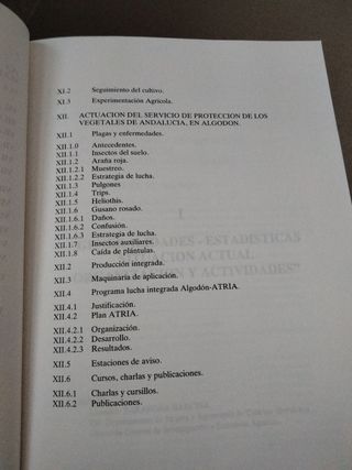 El algodón en Andalucia 