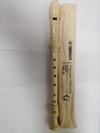 Coppia due flauto musica scuola yamaha honer