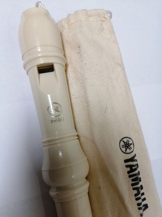 Coppia due flauto musica scuola yamaha honer