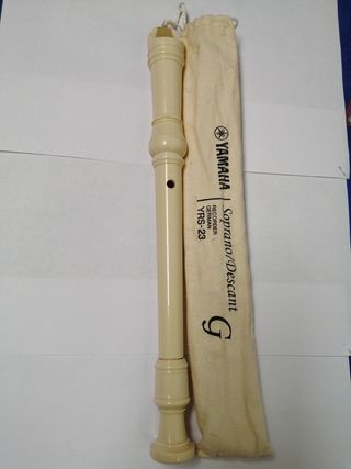 Coppia due flauto musica scuola yamaha honer