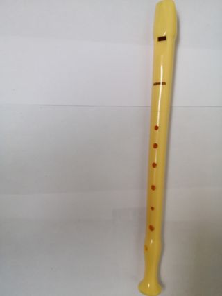 Coppia due flauto musica scuola yamaha honer