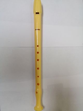 Coppia due flauto musica scuola yamaha honer